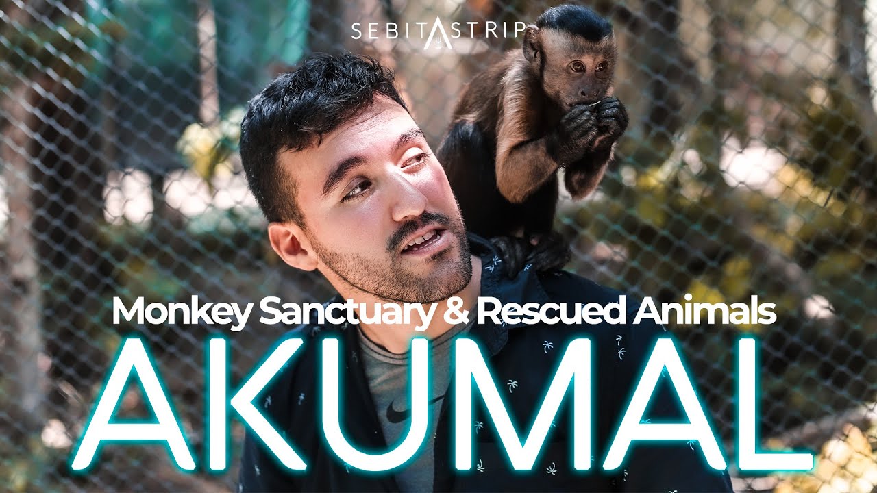 🦜🐒SANTUARIO DE MONOS EN AKUMAL | HAY ANIMALES RESCATADOS AQUÍ | CÓMO LLEGAR | QUÉ HACER@sebitastrip
