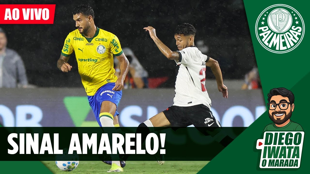 PALMEIRAS PERDE DE VIRADA PARA O VASCO E ACENDE SINAL DE ALERTA