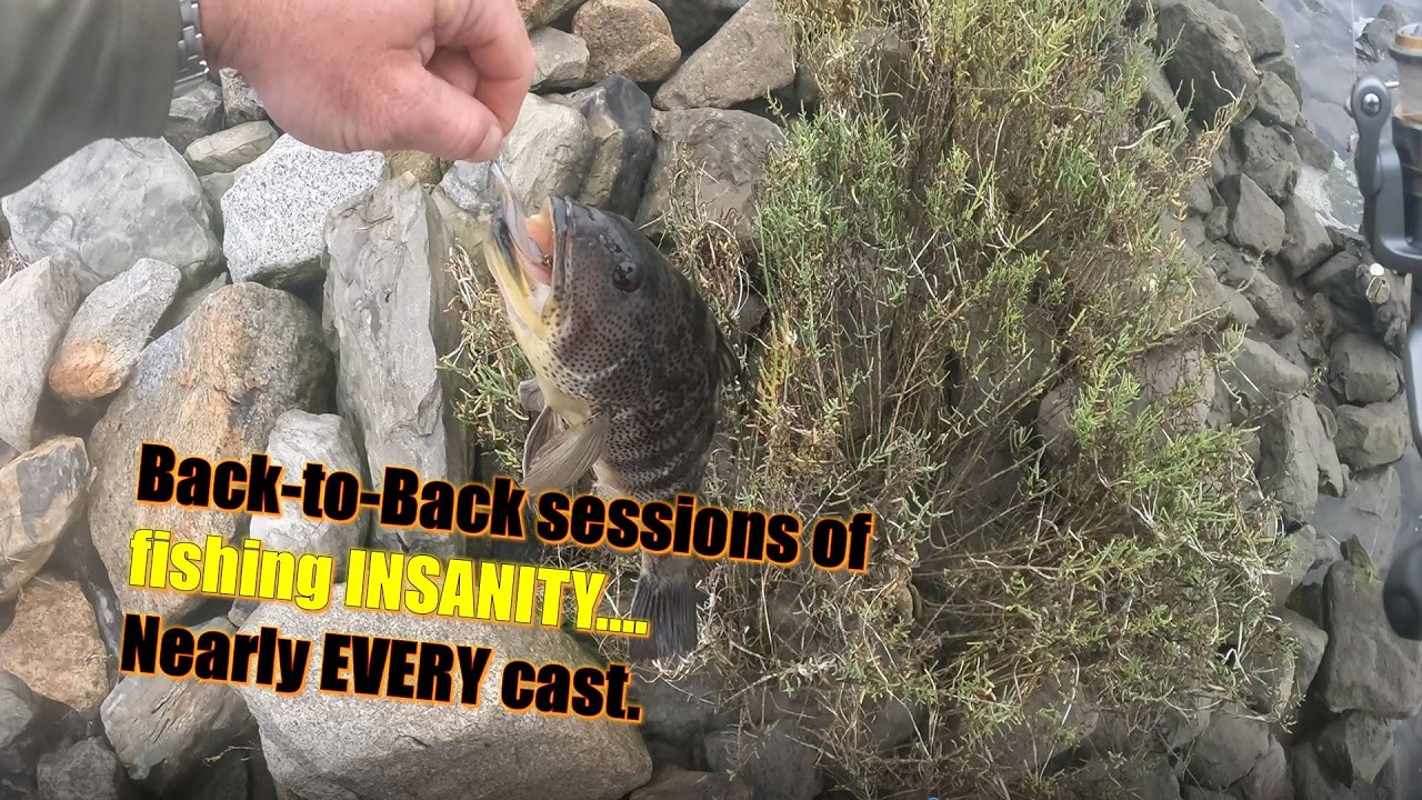 Back-to-Back sessions of fishing INSANITY....Nearly EVERY cast.