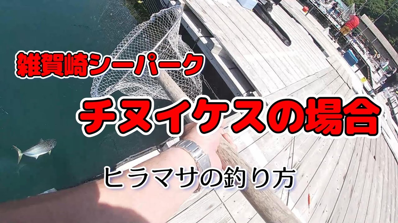 みんなで楽しく海上釣堀   前回のつづき　シーパークちぬイケス