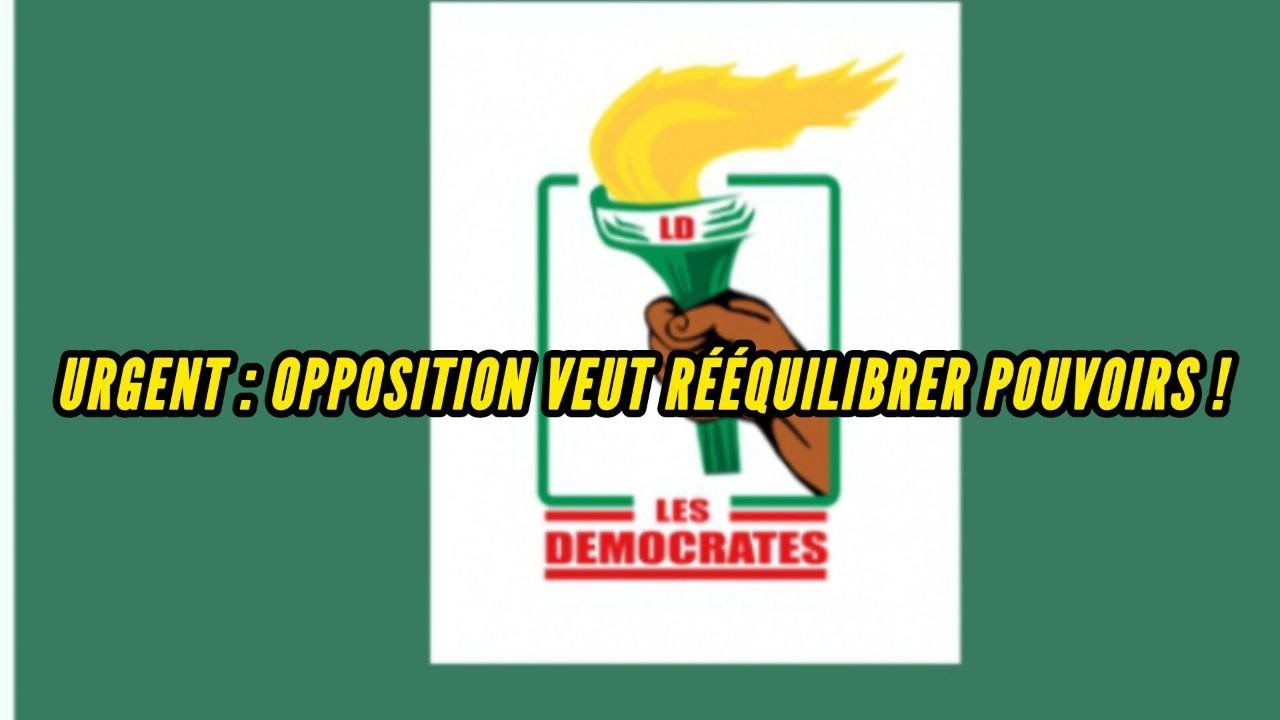 LES DÉMOCRATES VONT ILS PRENDRE L'ASSEMBLÉE  ?