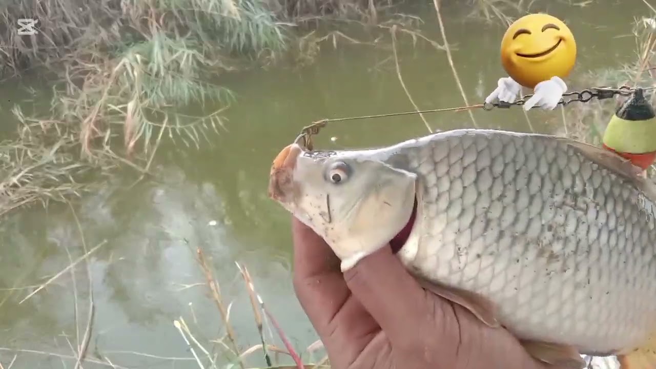 كارثه اليوم بس استمرينه بالصيد السمك 