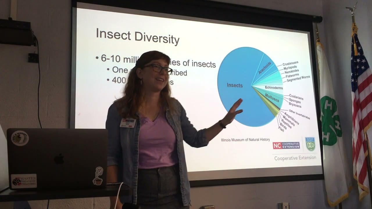 Master Naturalist Entomology lecture
