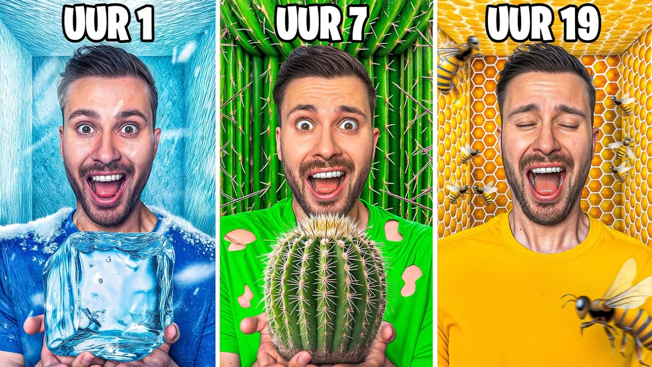 Elk Uur In Een Andere Kleur Leven! *Challenge*