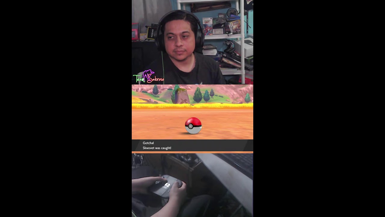 🤙Pokémon Sword Re-Playthrought