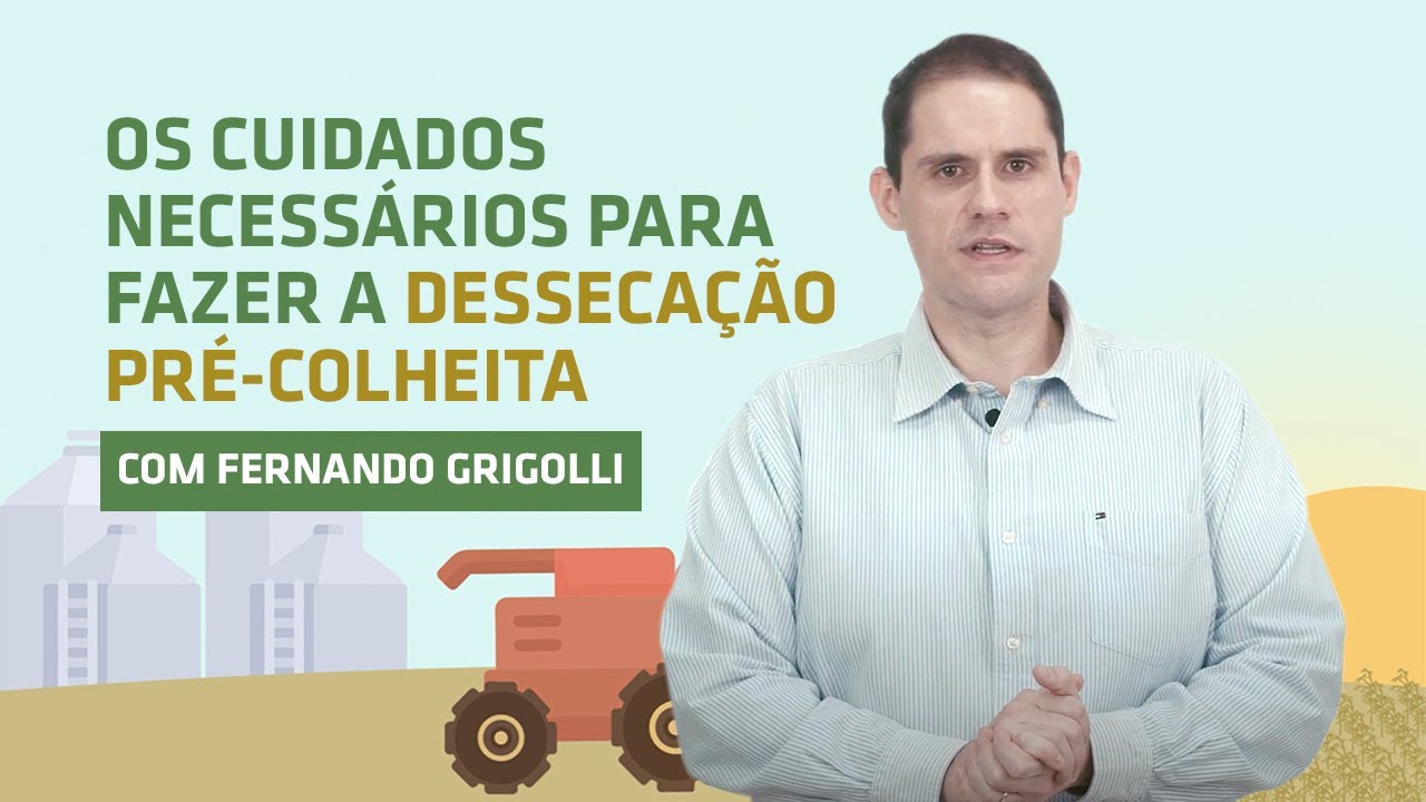As melhores práticas para a dessecação pré-colheita