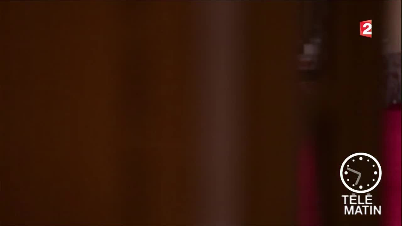 Expo - Maurizio Cattelan, de l’ironie à l’art