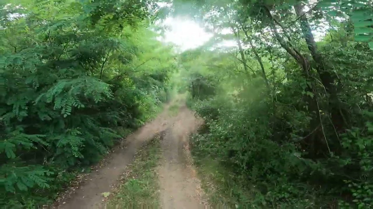 Прибиране след риболов , Разходка сред природата / Getting home after fishing, a walk in nature