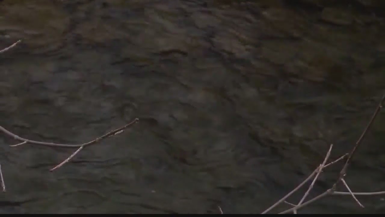 Migrants in NYC potentially moving upstate