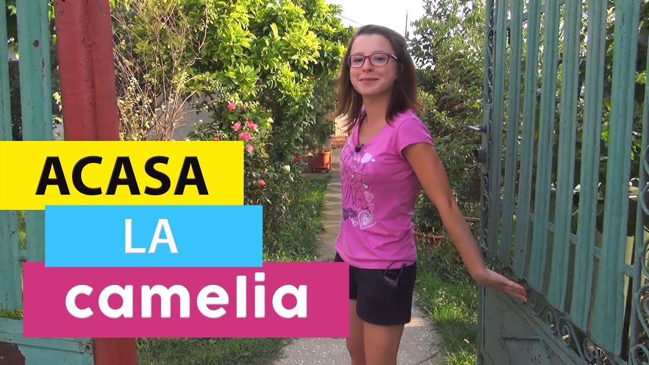 Acasa la Camelia - GatesteUsor.ro