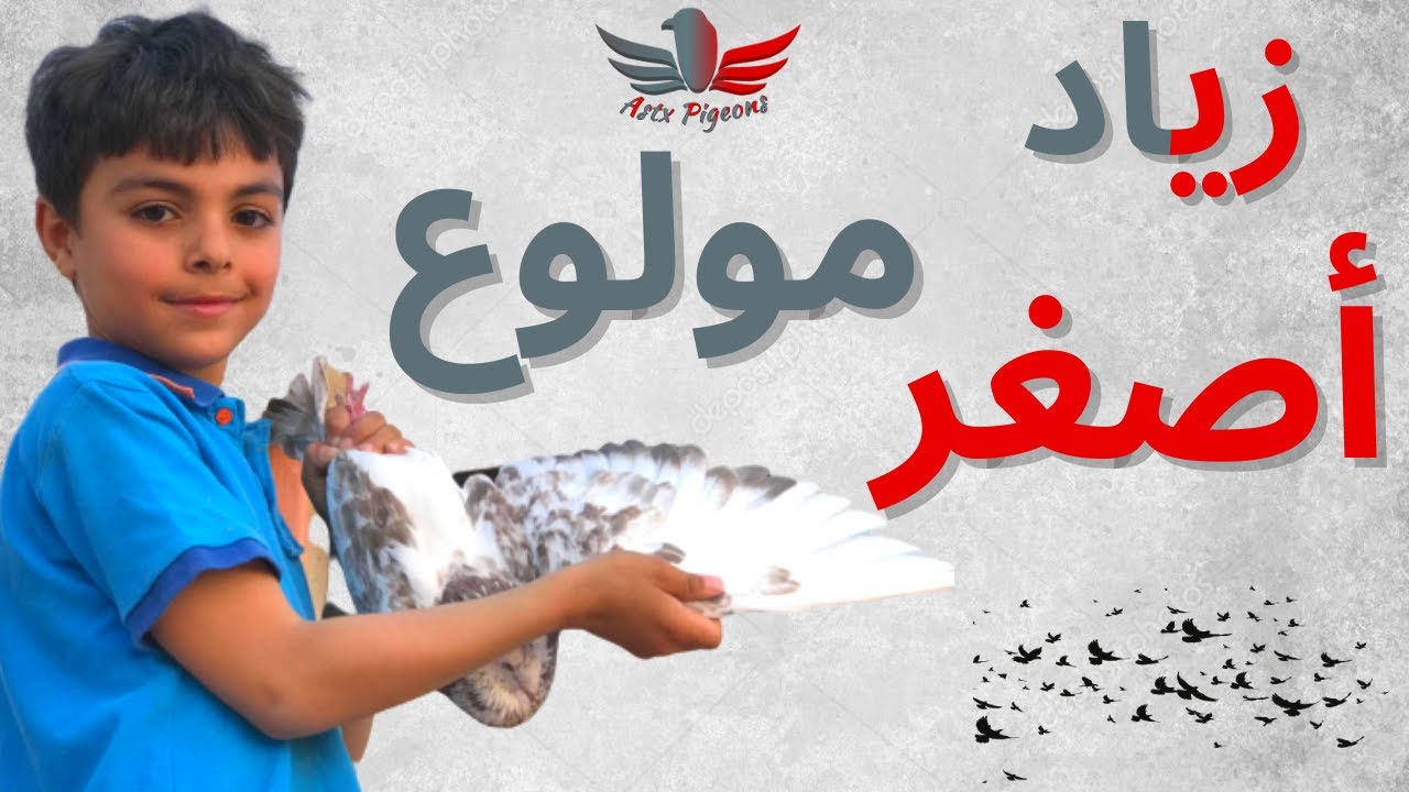 💪💪🕊️🕊️ أصغر مولوع بتربية الحمام و الطيور في مدينة مراكش ما شاء الله