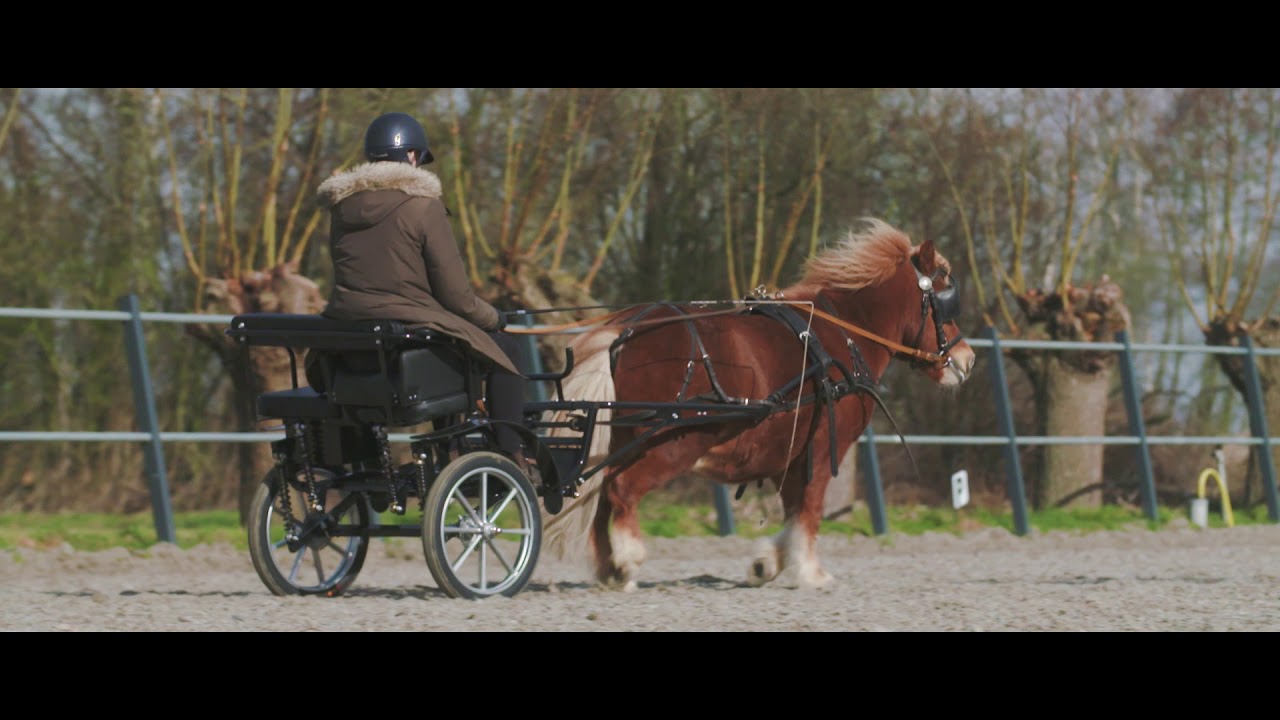 Ontdek de Sulky Cavalettie Sport Edition in deze video