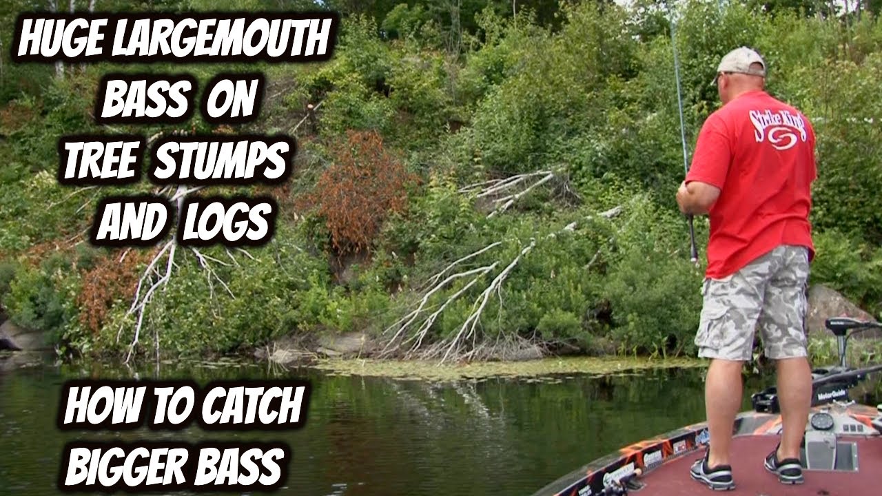 HUGE LARGEMOUTH BASS ON TREE STUMPS & LOGS- How to catch bigger bass