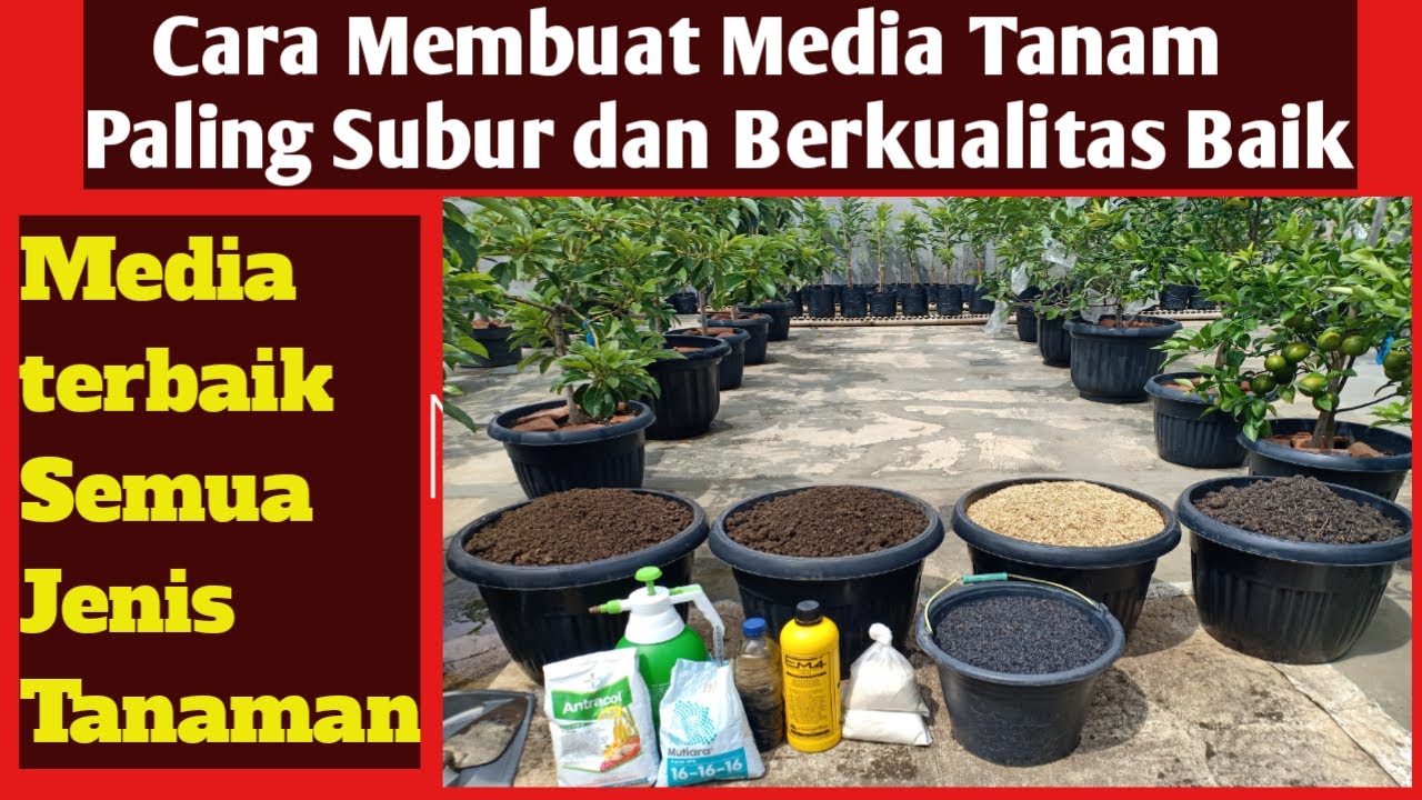 Cara Membuat Media Tanam Terbaik di Pot dan Polybag , Media Tanam Subur Untuk SemuaTanaman
