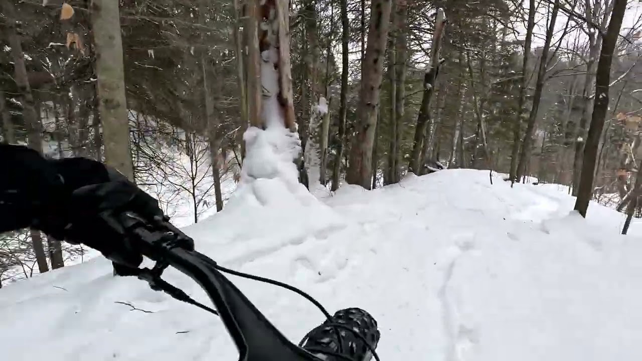 Les deux descente de la solid gold en fat bike