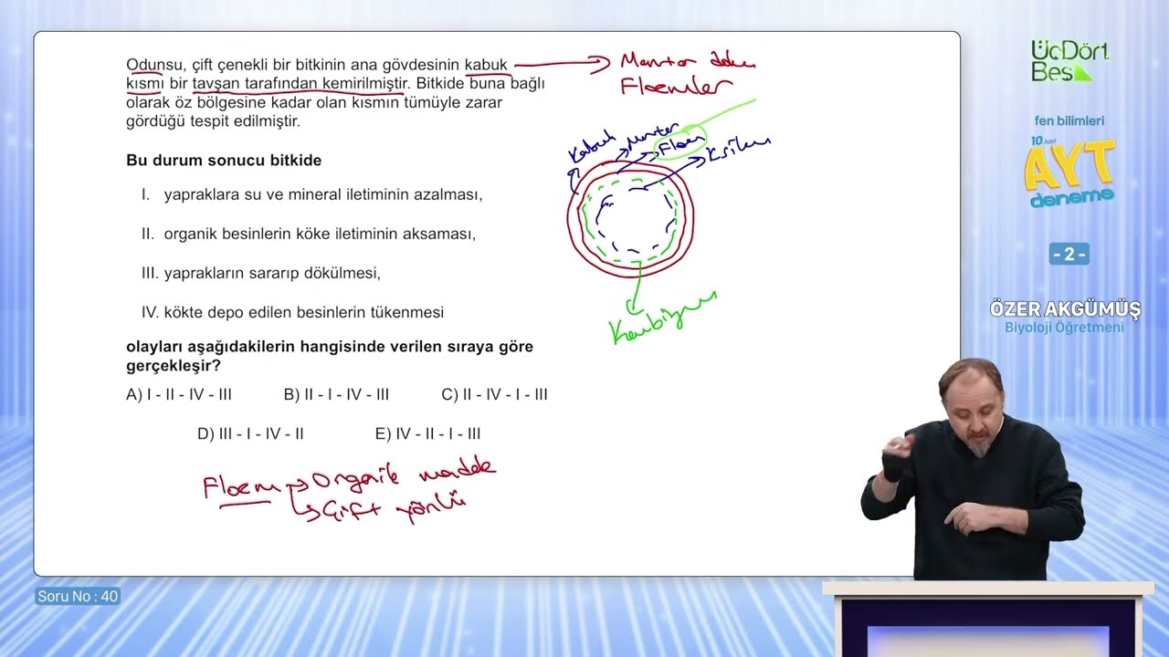 Hanimiş benim bitkiim 