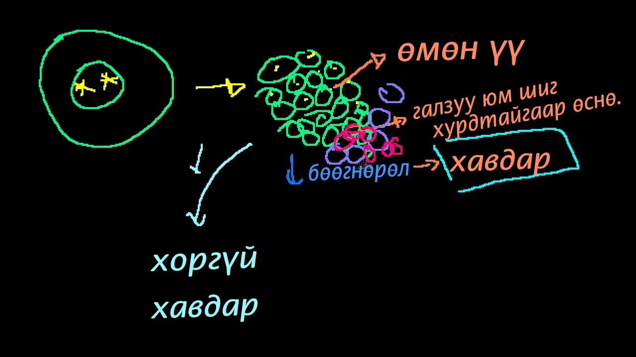 Хорт хавдар