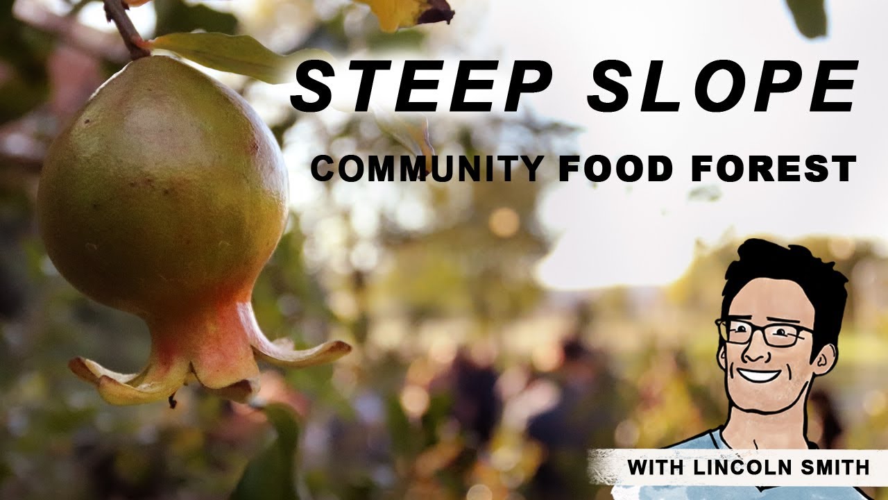 City Food Forest &middot; BARREN TO FRUITFUL &middot; First 5 Years