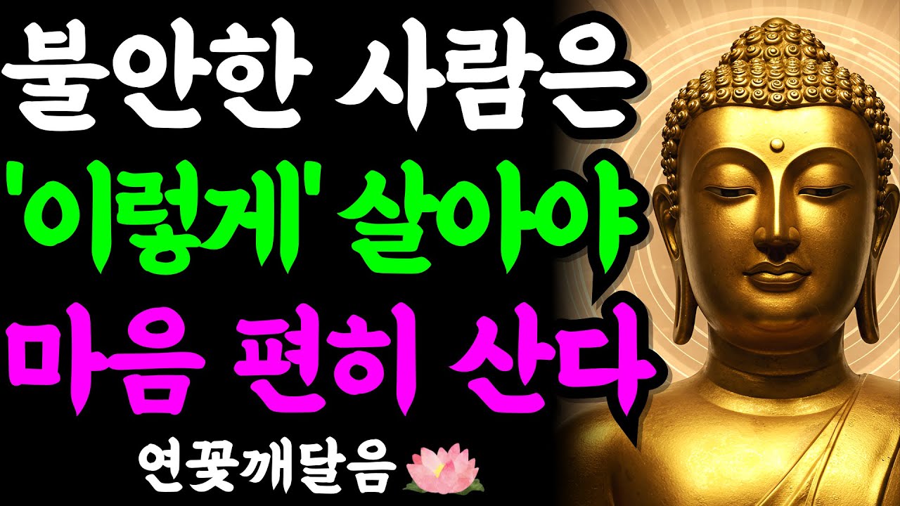 생각이 너무 많아 불안한 사람이 '이 방법'으로 마음 편히 사는 법 | 부처님 말씀 | 석가모니 | 불교명언 | 불교오디오북