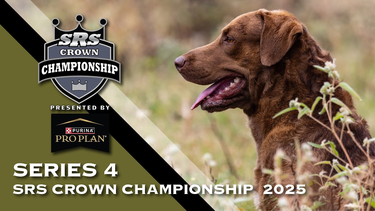 2025 SUPER RETRIEVER SERIES CROWN CHAMPIONSHIP - SERIES 4, PART 2