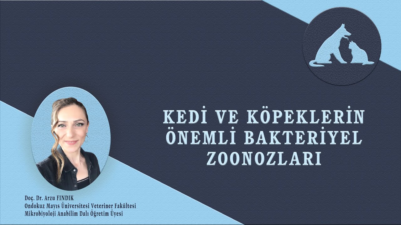 Kedi ve Köpeklerden İnsanlara Bulaşan Önemli Bakteriyel Hastalıklar