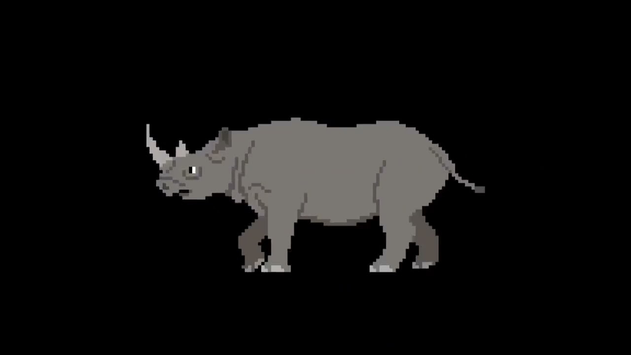 Black Rhinoceros