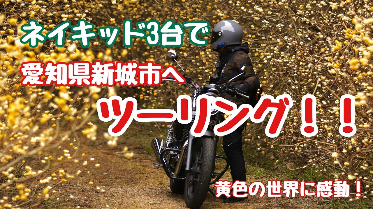 【モトブログ】愛知県新城市へツーリング！！神秘的なミツマタの世界＆廃線・廃校！