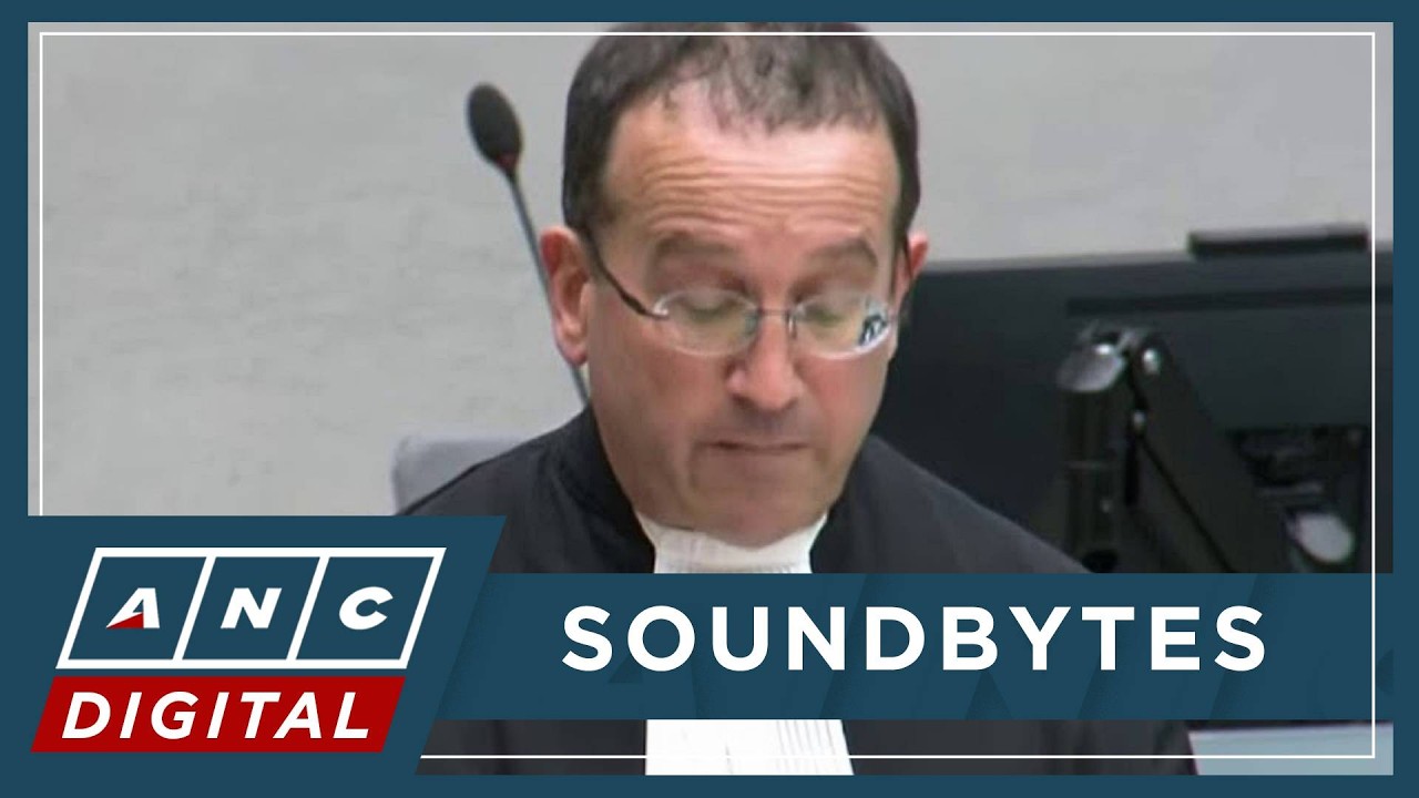 Kaufman: We have attacked every single count by ICC prosecution despite redactions | ANC
