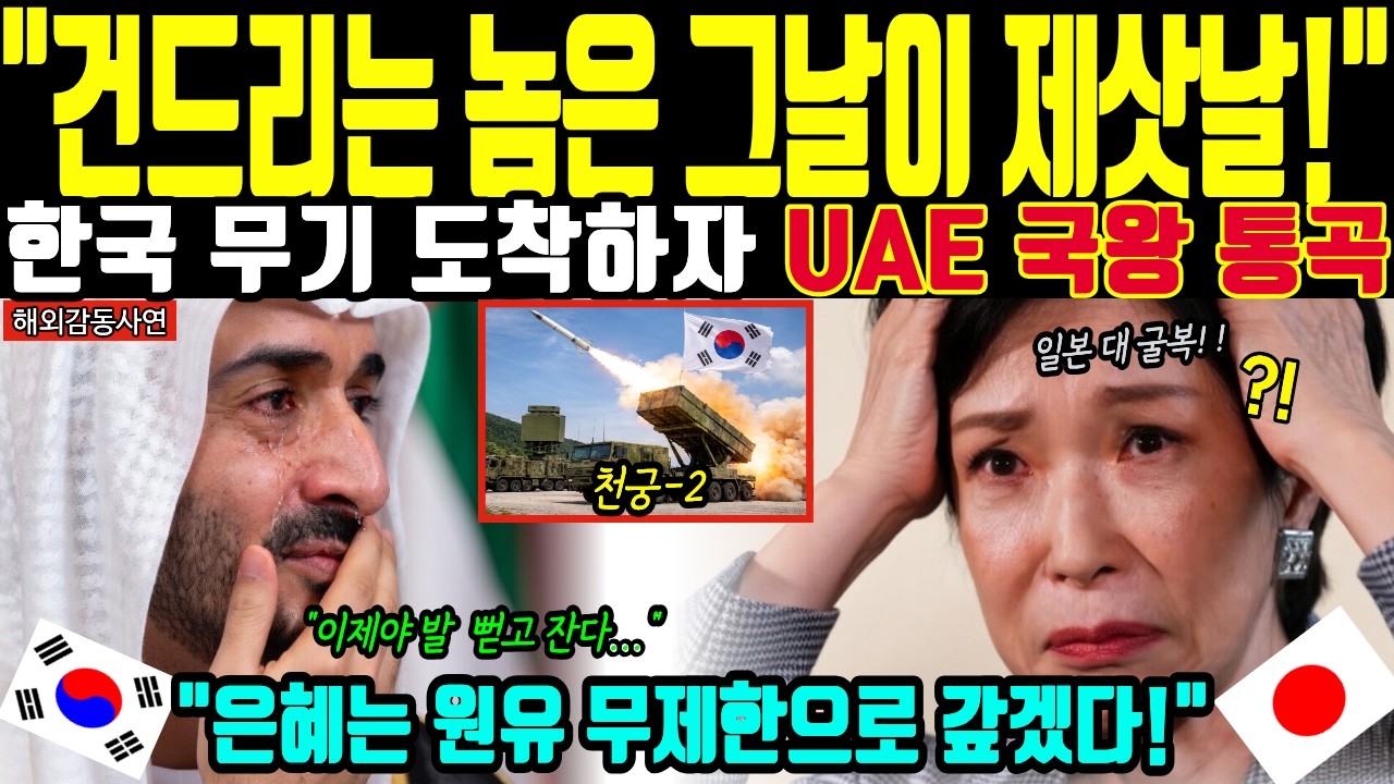 [해외감동사연] 한국 천궁2 비궁 설치되자 UAE 국왕 눈물.. 