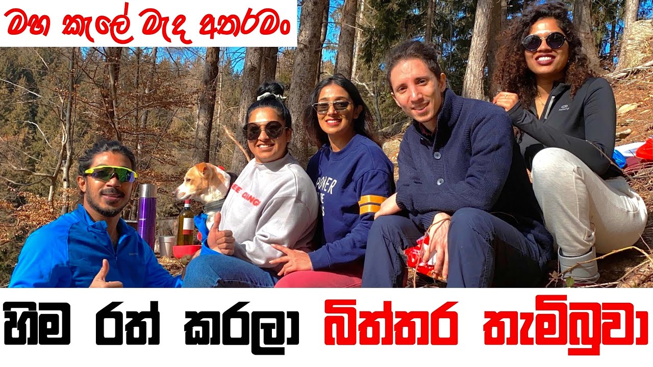 හිම රත්කරල බිත්තර තැම්බුවා 🔥🔥|  මහ කැලේ මැද අතරමං😱| BINARIO12 | හිම කන්දෙ ලී ගෙදර🏔