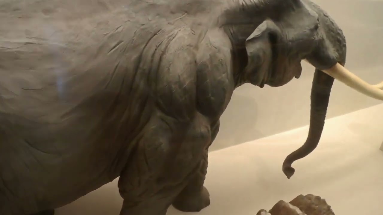 秘境博物館【後編】、戸隠地質化石博物館