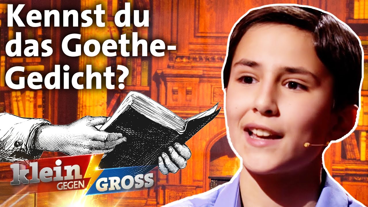 Wer kennt sich besser mit Goethe aus? Schauspieler Heino Ferch vs. Tasso (11) | Klein gegen Groß