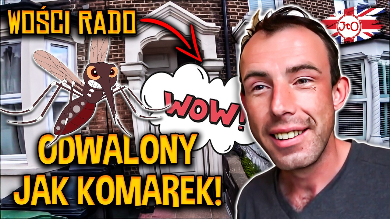 🇬🇧 RADO 🎡. RADO odwalony jak KOMAREK na nowych WOŚCIACH. HOT NEWS!
