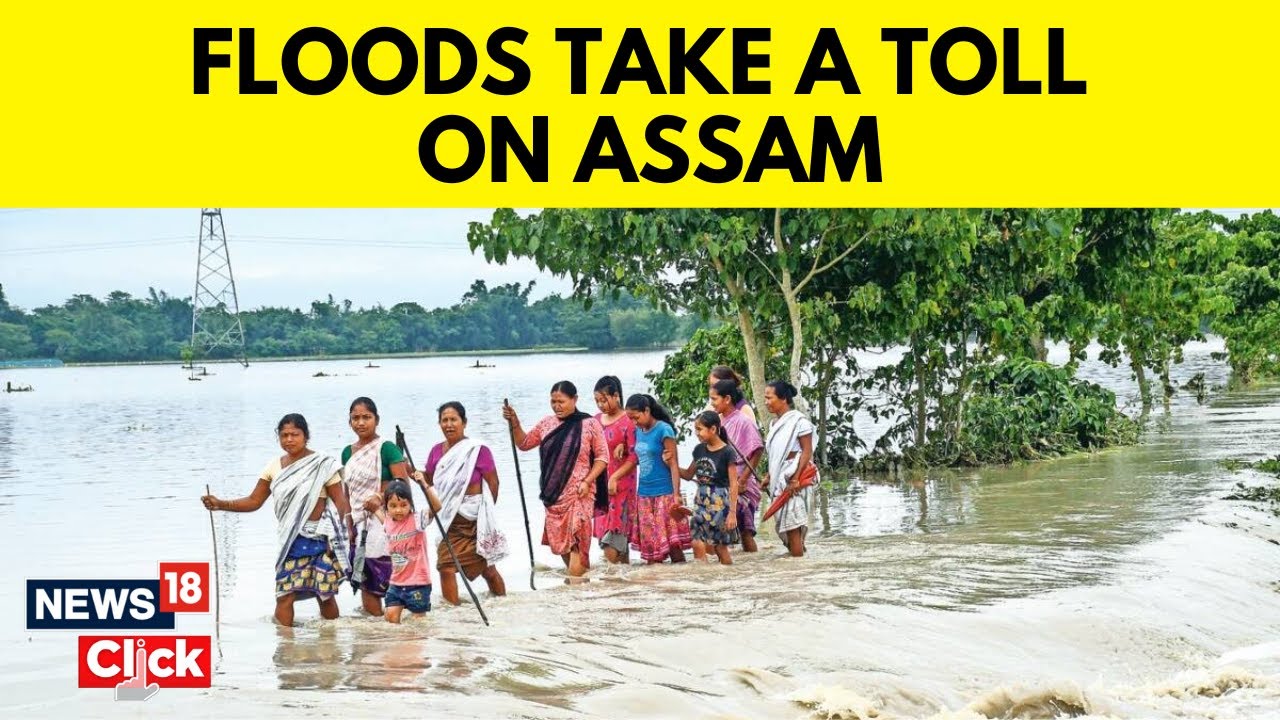 Assam Flood 2023 | Assam Is Reeling From Annual Floods | Assam Floods | English News | News18
