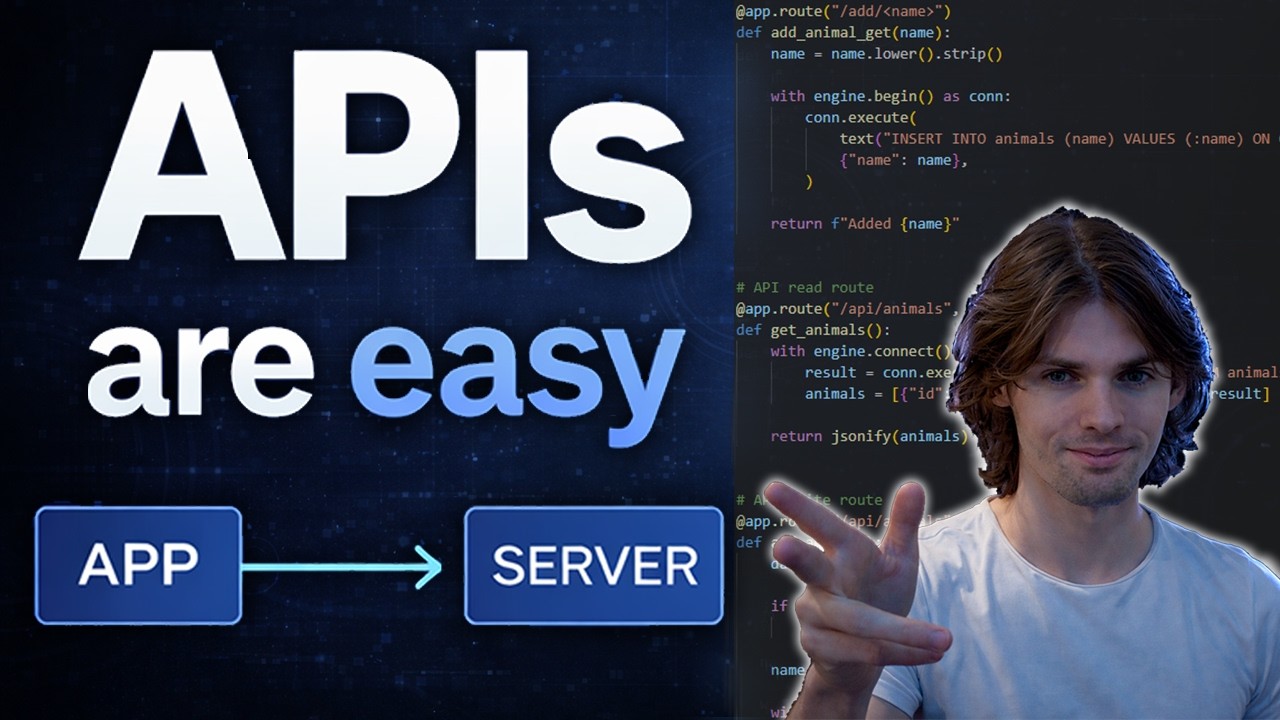What is an API? (With Example)