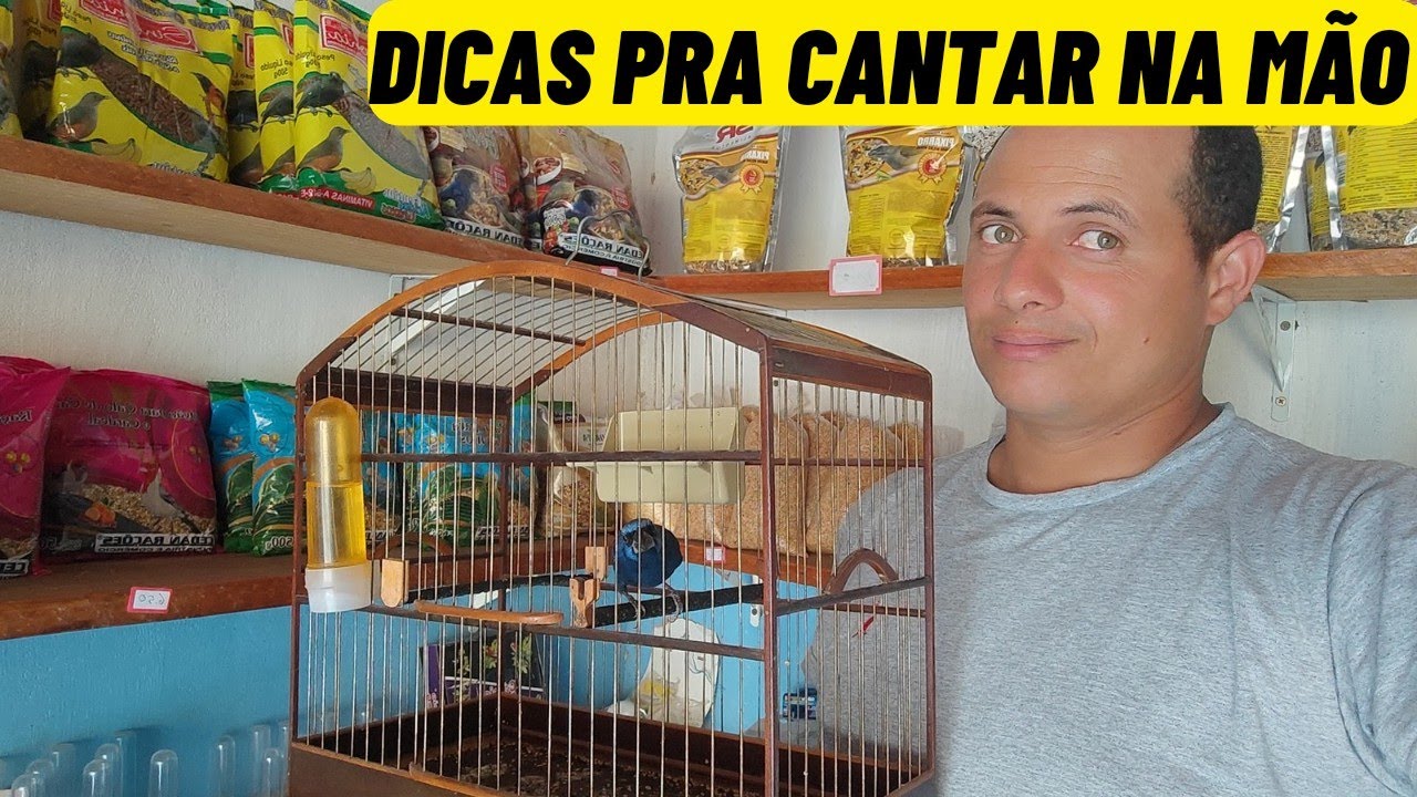 Como fazer o AZUL&Atilde;O cantar de gaiola na m&atilde;o | dicas para iniciantes
