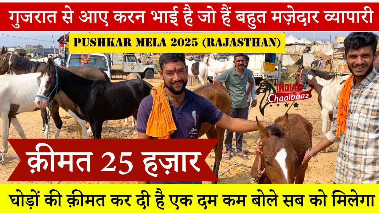 गुजरात से आए करन भाई है जो हैं बहुत मज़ेदार व्यापारी घोड़े क़ीमत 25 हज़ार Pushkar Mela 2025