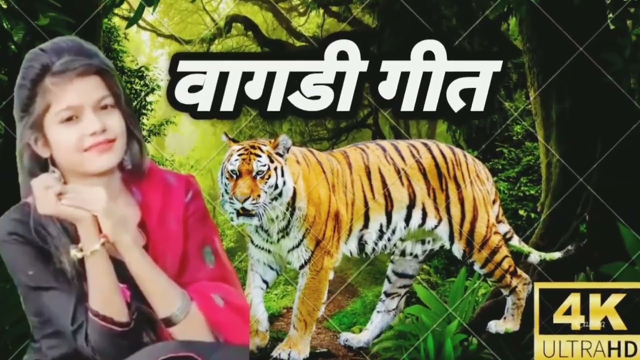 प्रियंका जीजी वागड़ी गीत // vagdi geet