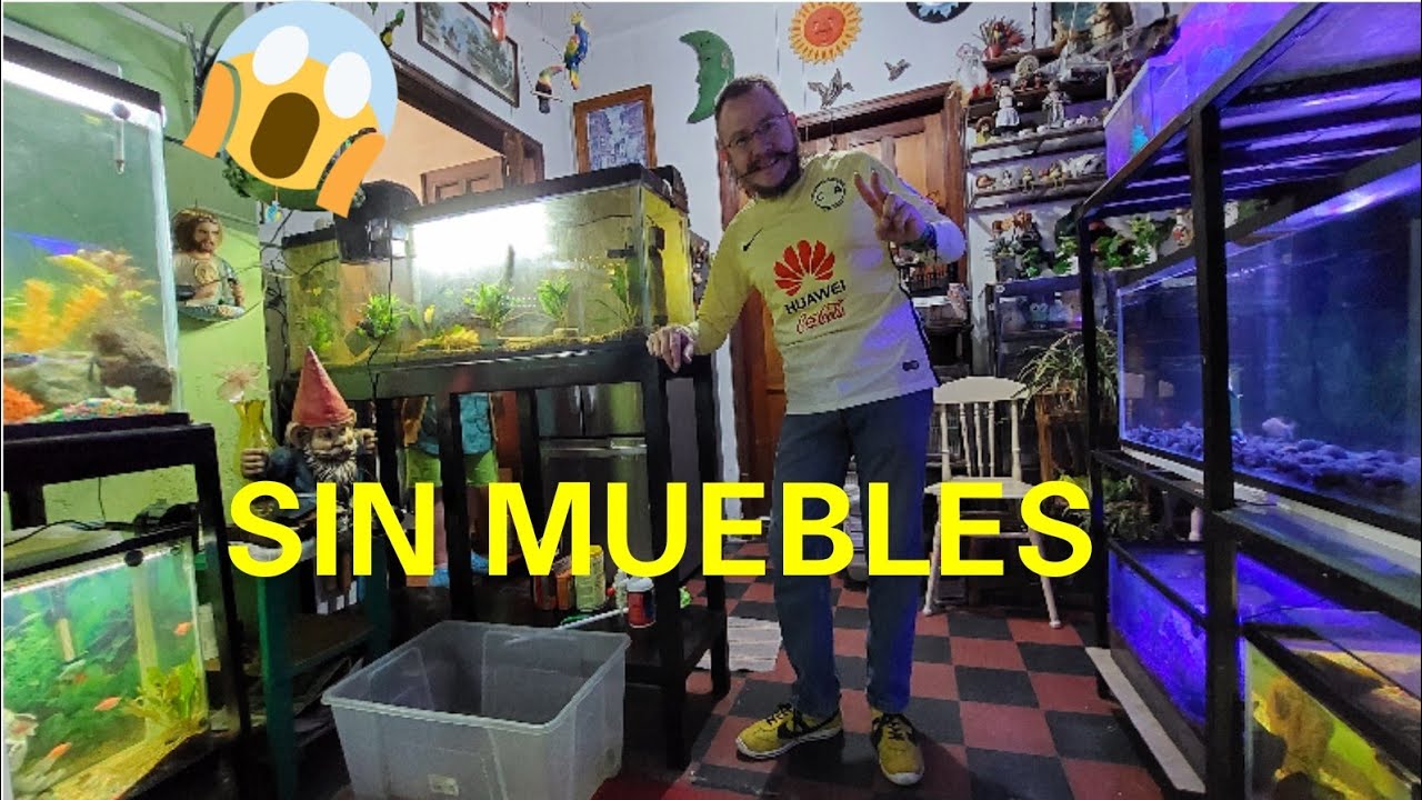 QUITO TODOS LOS MUEBLES DE SU CASA Y AHORA LO TIENE REPLETO DE ACUARIOS