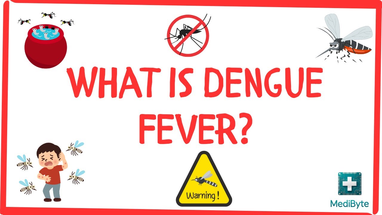 What is Dengue Fever?