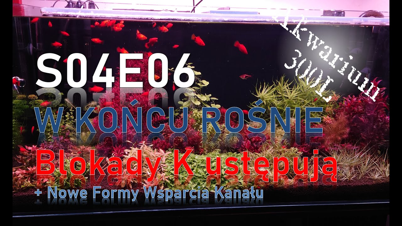 VLOG 6/2025 - Potas spada, rośliny ruszyły 🔥🔥🔥