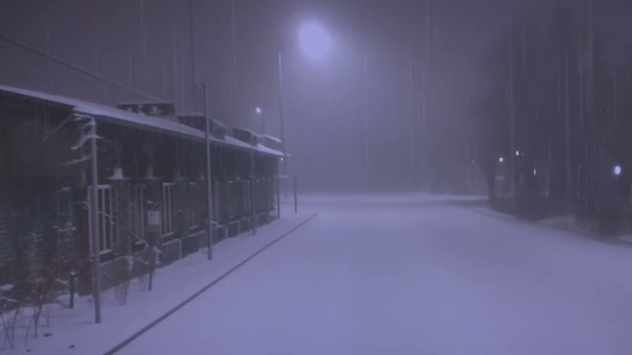 waiting for a bus that never comes. [Rain Ambience / Liminal Space]