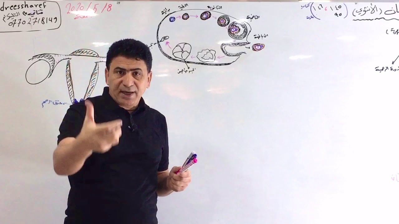 الفصل الثالث التكاثر(التكاثر في الانسان-الجهاز التناسلي الانثوي) محاضرة 25