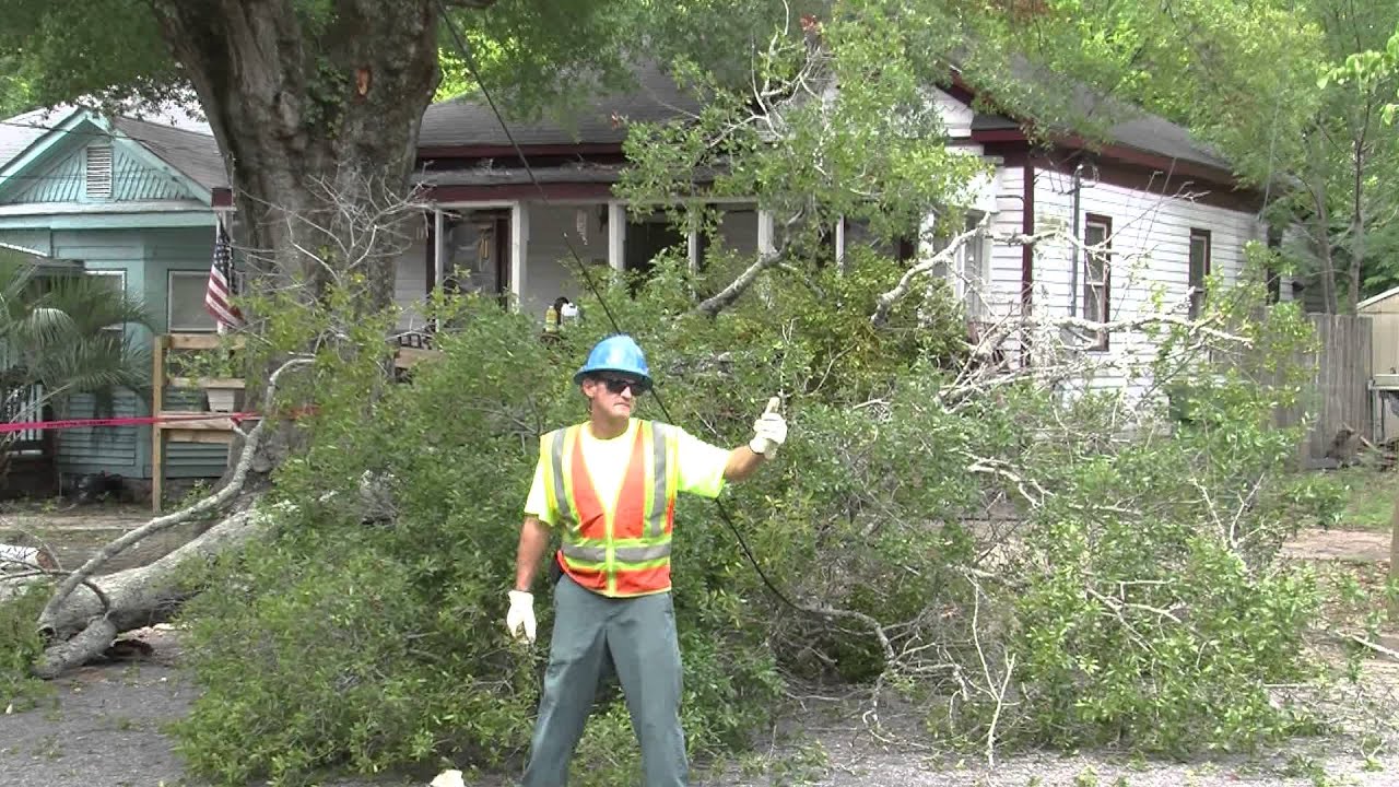 Parks, Urban Forestry & Athletic Field Maintenance