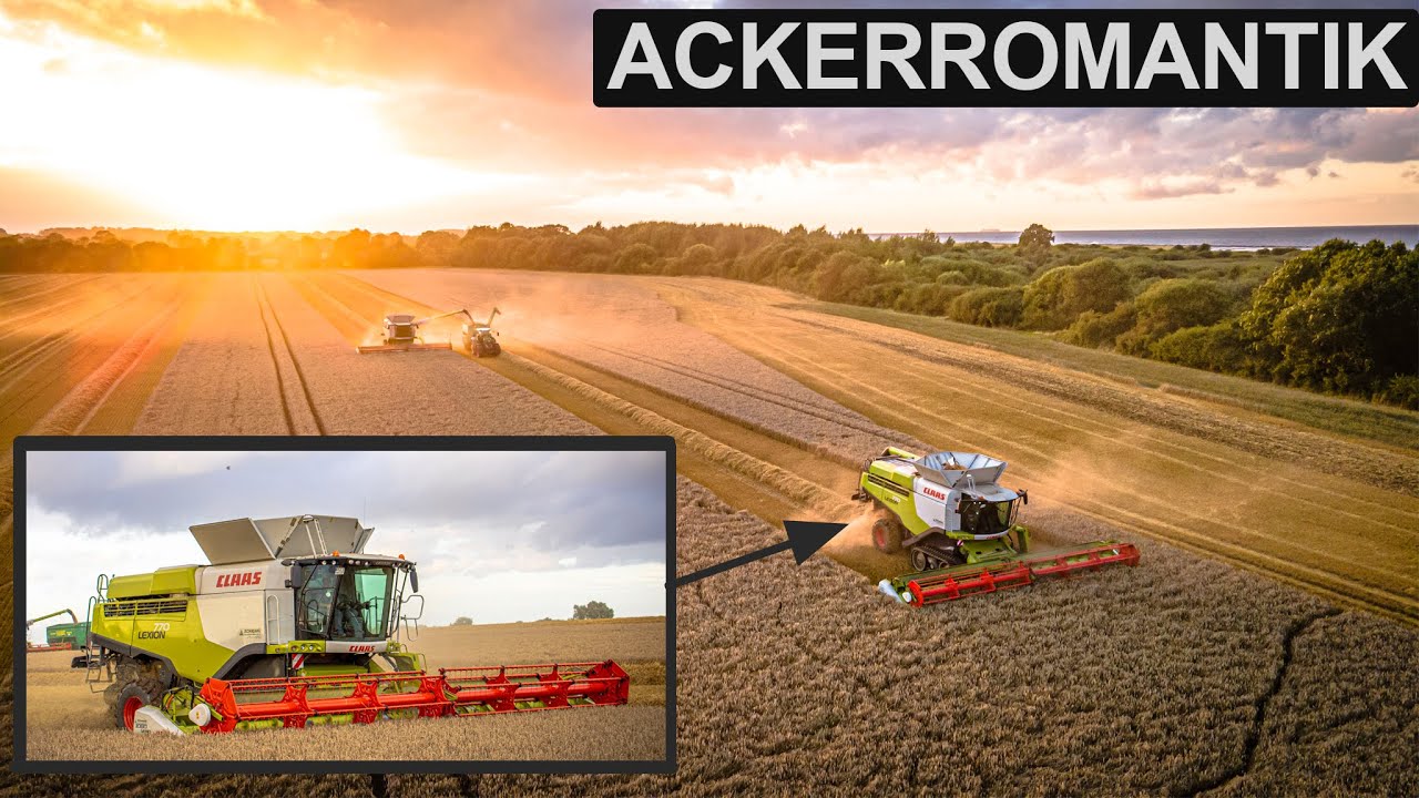 Dreschen an der Ostsee mit 3x CLAAS LEXION 770 || 2x Überladewagen || 5x Fendt Vario || 4K