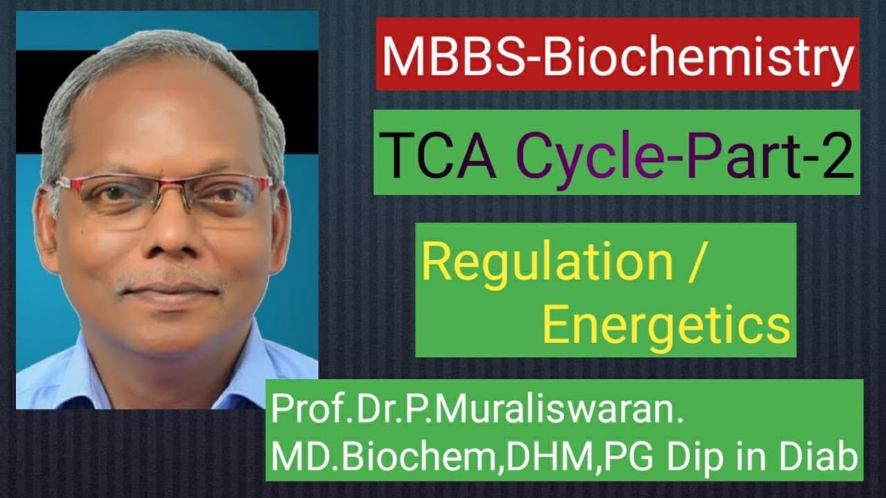 Tca cycle-Part-2 Energetics and Regulation 
