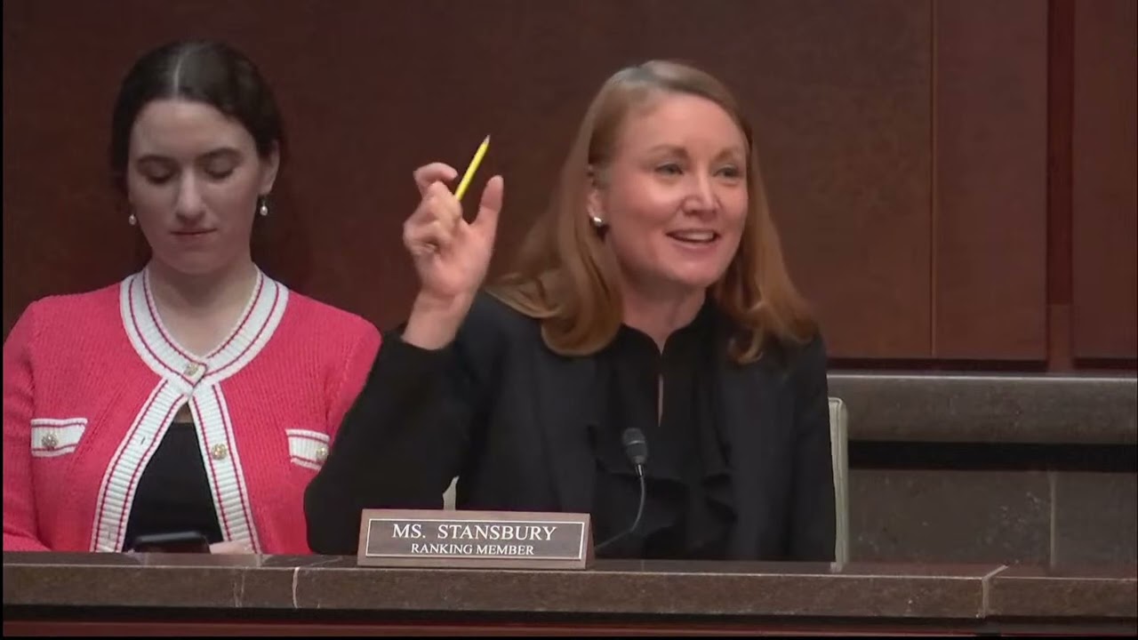 Rep. Melanie Stansbury full closing speech at DOGE subcommittee: 'Be strong. We will fight back'