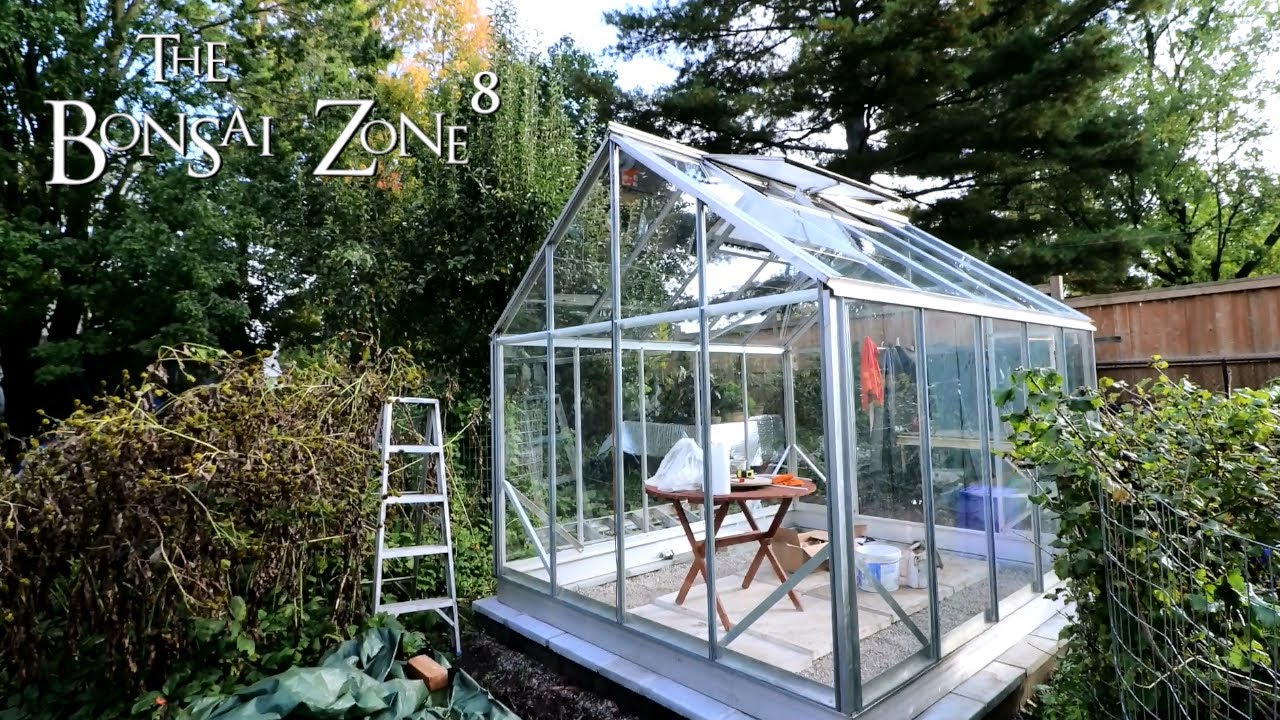 My Glass Greenhouse Update, The Bonsai Zone, Oct 2021