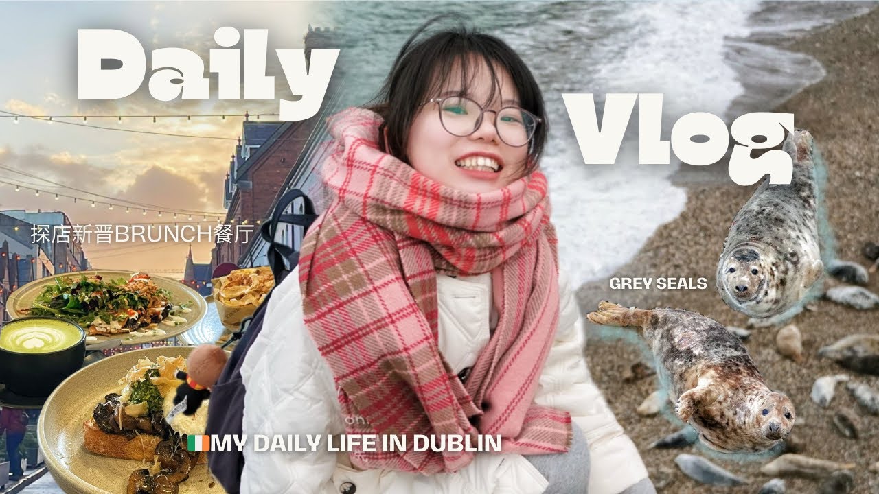 🇮🇪都柏林生活VLOG｜看灰海豹🦭、圣诞准备🎄、新晋brunch🥞、打工人休假日常【📍Dublin, Ireland】