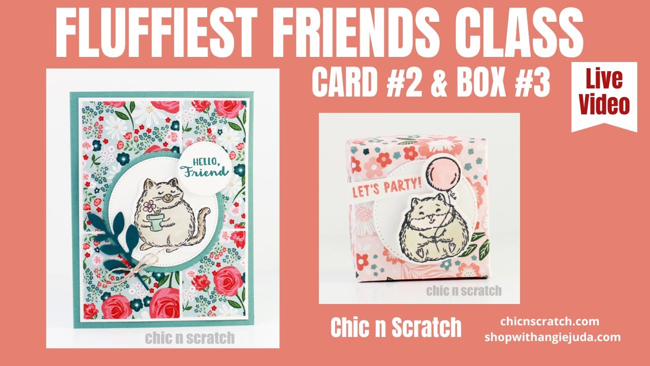 Fluffiest Friends Card 2 and Box 3